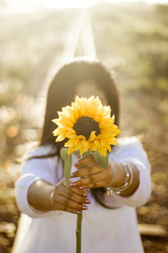 Sonnenblumee