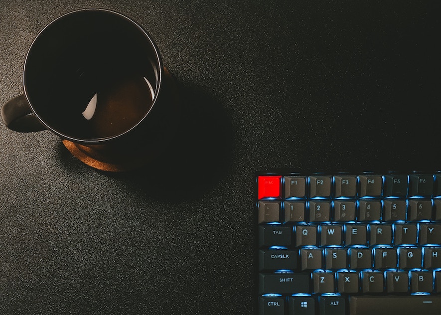 Developer